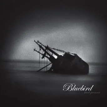 Bluebird "Black Presence"