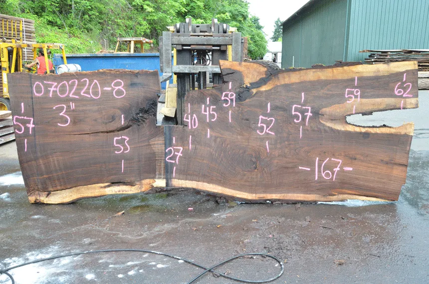 Oregon Black Walnut Slab 070220-08