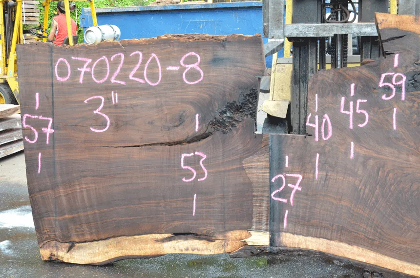 Oregon Black Walnut Slab 070220-08