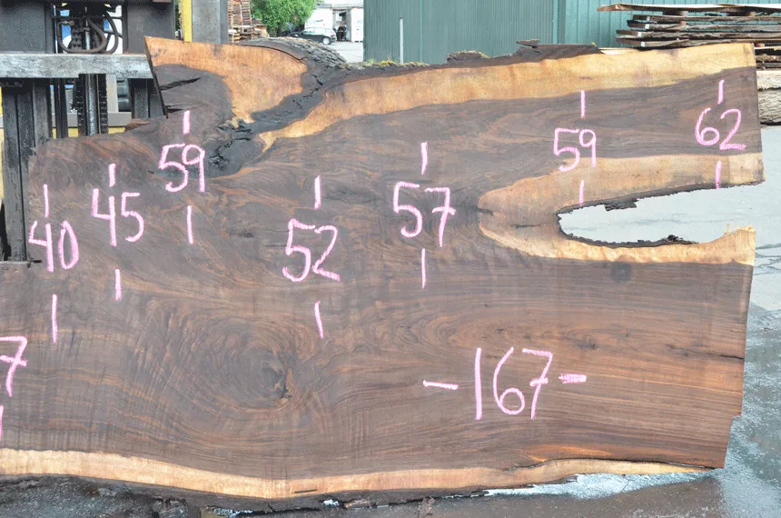 Oregon Black Walnut Slab 070220-08