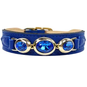 Regency Dog Collar in Cobalt Blue & Gold