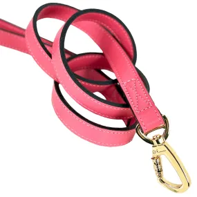 Regency Dog Leash in Petal Pink & Gold